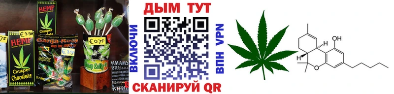 MEGA ссылки  Циолковский  Canna-Cookies конопля  купить наркотики цена 