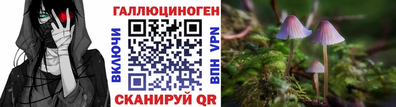 где можно купить   Циолковский  hydra сайт  Псилоцибиновые грибы Psilocybine cubensis 