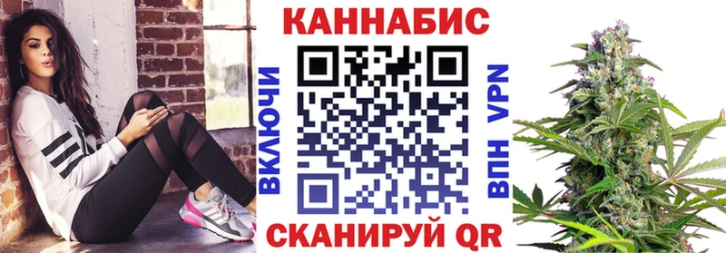 магазин продажи наркотиков  Циолковский  KRAKEN сайт  Бошки Шишки SATIVA & INDICA 